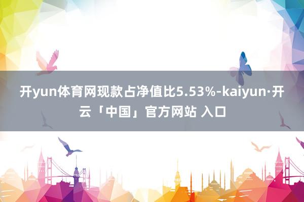 开yun体育网现款占净值比5.53%-kaiyun·开云「中国」官方网站 入口
