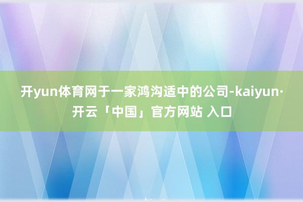 开yun体育网于一家鸿沟适中的公司-kaiyun·开云「中国」官方网站 入口