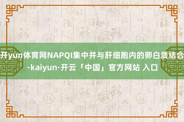 开yun体育网NAPQI集中并与肝细胞内的卵白质结合-kaiyun·开云「中国」官方网站 入口