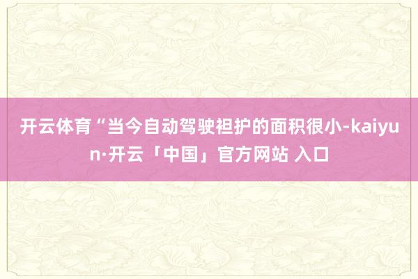 开云体育　　“当今自动驾驶袒护的面积很小-kaiyun·开云「中国」官方网站 入口