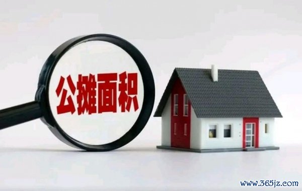 李稻葵：取消公摊的时机到了吗