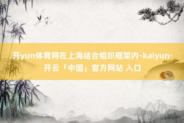 开yun体育网在上海结合组织框架内-kaiyun·开云「中国」官方网站 入口