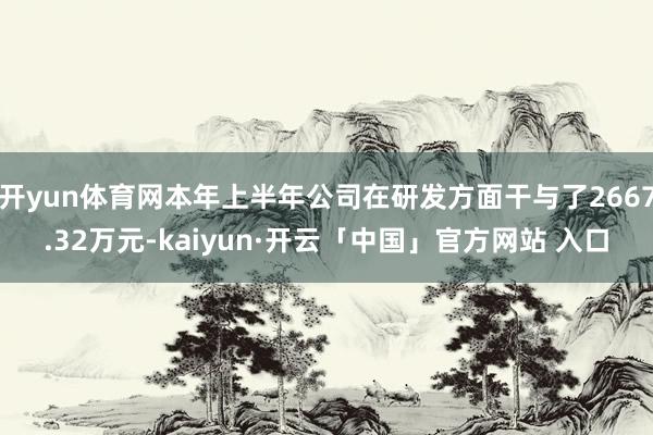 开yun体育网本年上半年公司在研发方面干与了2667.32万元-kaiyun·开云「中国」官方网站 入口