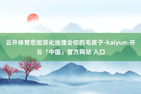 云开体育愈加深化地理会你的毛孩子-kaiyun·开云「中国」官方网站 入口