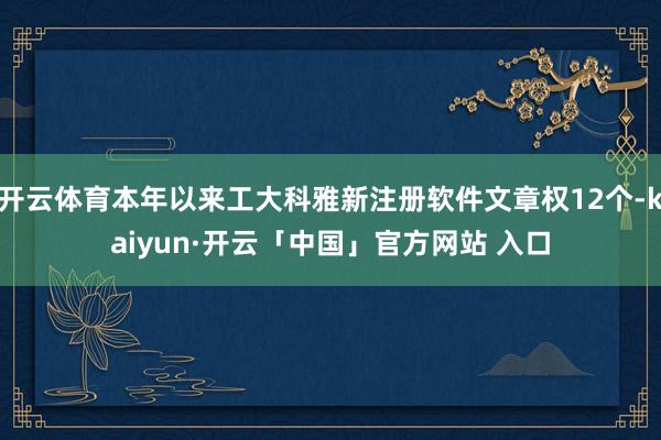 开云体育本年以来工大科雅新注册软件文章权12个-kaiyun·开云「中国」官方网站 入口